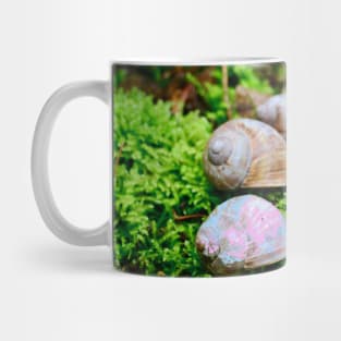 Snails / Swiss Artwork Photography Mug